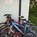 Zelena Bila Stavka *
