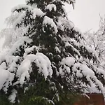 Zelena Bila Stavka * Yaremche