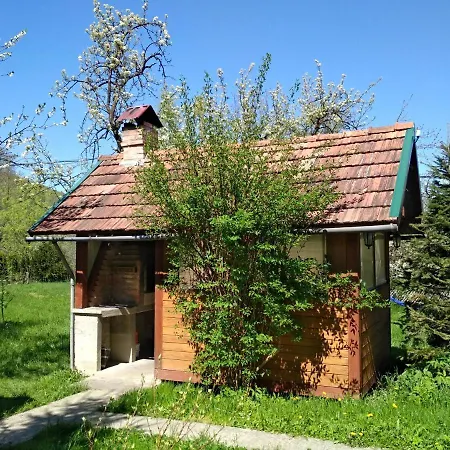Zelena Sadyba Bila Stavka