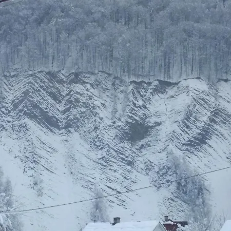 Zelena Bila Stavka