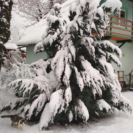 Zelena Sadyba Bila Stavka Apartment