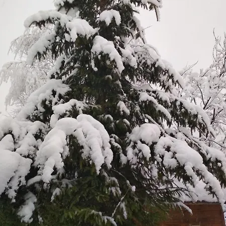 Zelena Bila Stavka * Yaremche