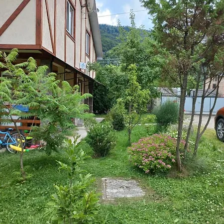 Zelena Bila Stavka *