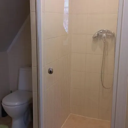 Zelena Sadyba Bila Stavka Apartment Yaremche