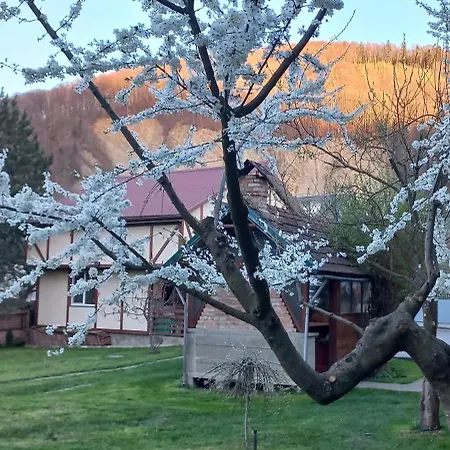 Zelena Sadyba Bila Stavka Apartment Yaremche