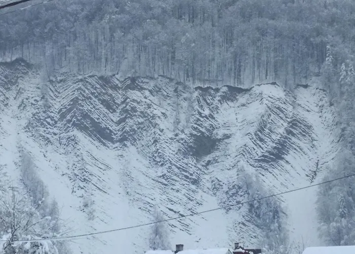 Zelena Bila Stavka