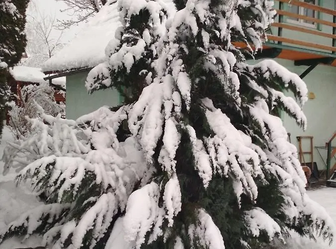 Zelena Bila Stavka شقة